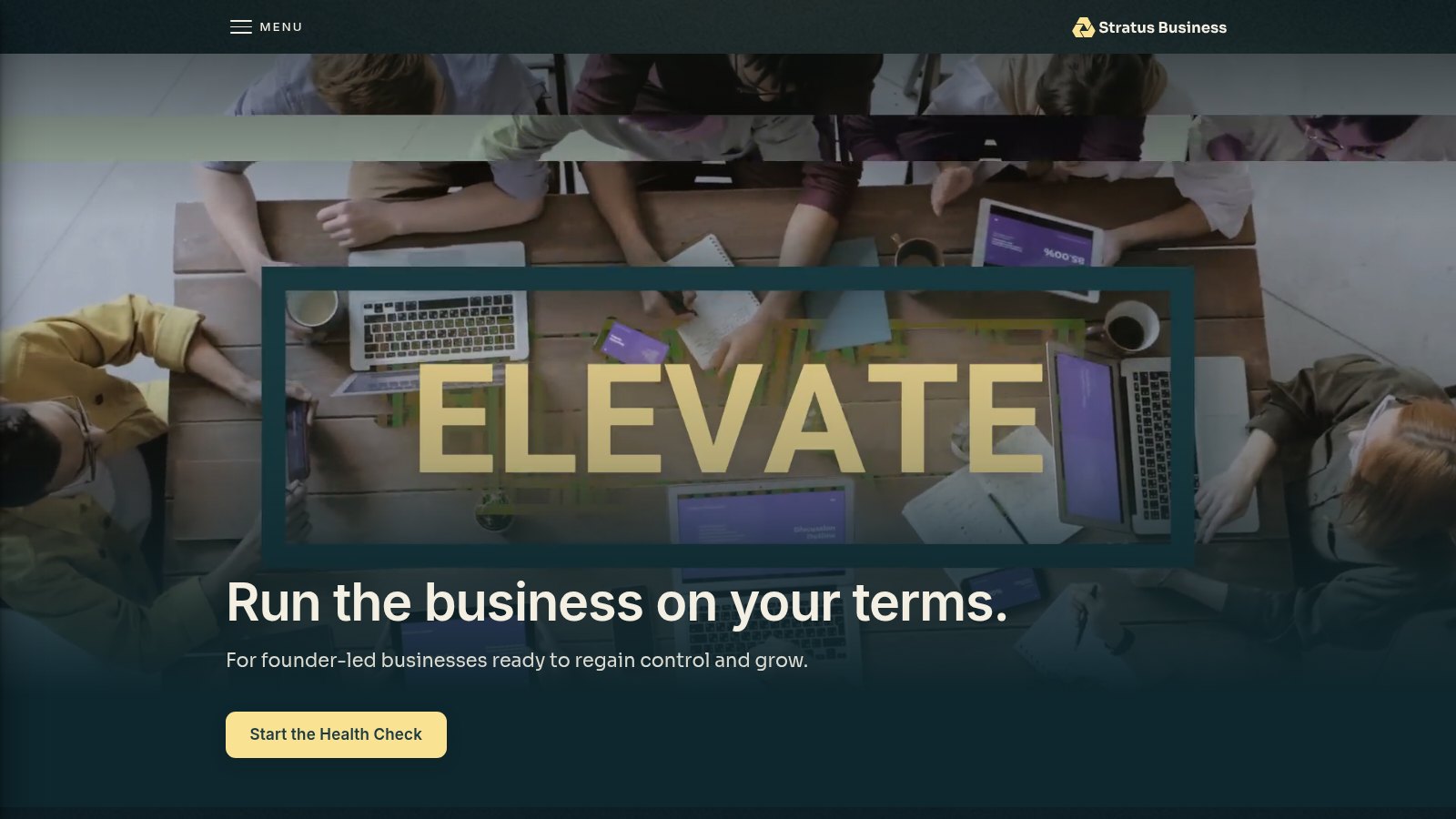 Stratus Business Group — project preview